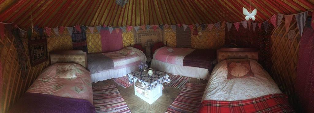 מלון טואם Galway Glamping מראה חיצוני תמונה